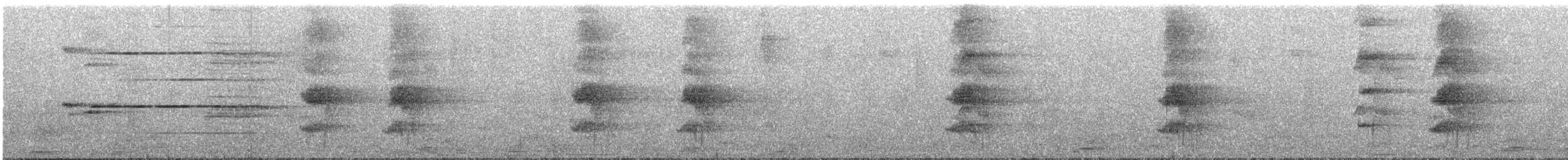 Ширококрылый канюк [группа antillarum] - ML349625231
