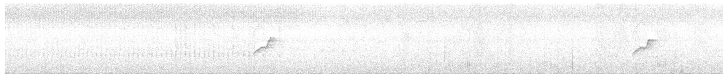 Batı Amerika Sinekkapanı (occidentalis/hellmayri) - ML349627041