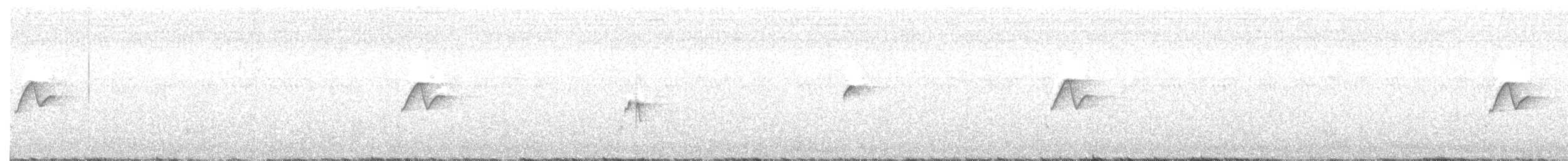 Batı Amerika Sinekkapanı (occidentalis/hellmayri) - ML349627091
