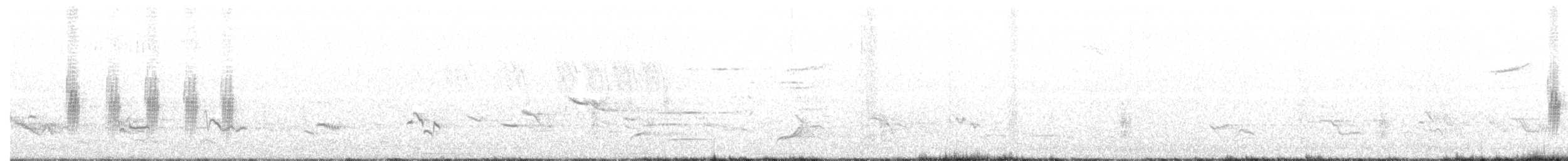 Northern Rough-winged Swallow - ML349627941