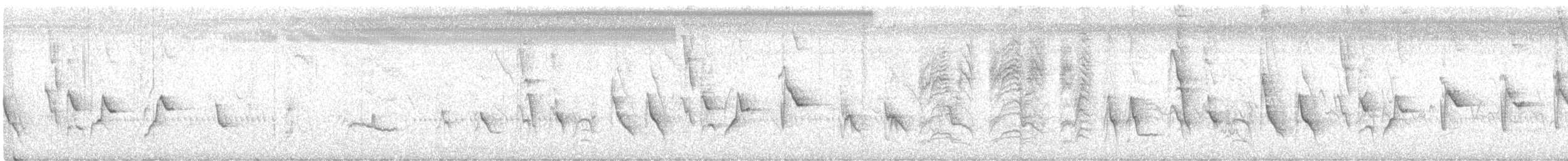 Рисоїд нікарагуанський - ML349653521