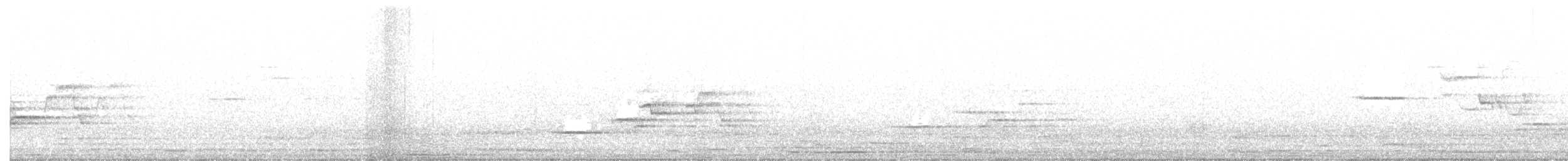 Дрізд-короткодзьоб плямистоволий - ML349669481