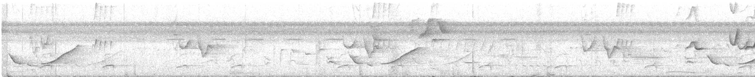 Troglodyte de Zeledon - ML349681901