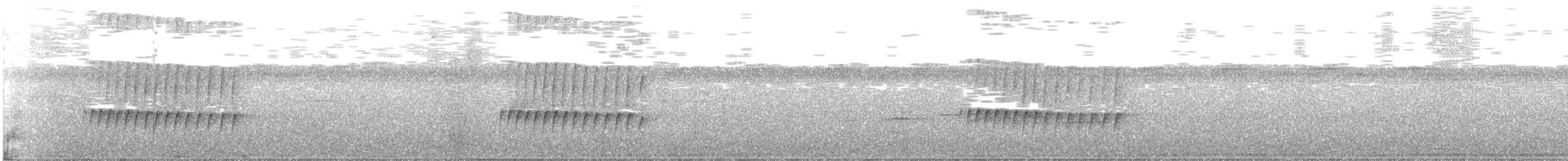 Grauband-Ameisenvogel - ML349700091