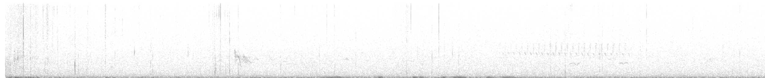 Gallo Oscuro - ML349718981
