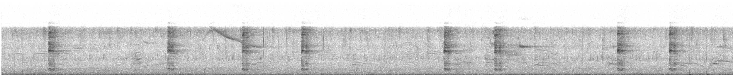 Ring-necked Pheasant - ML349732521