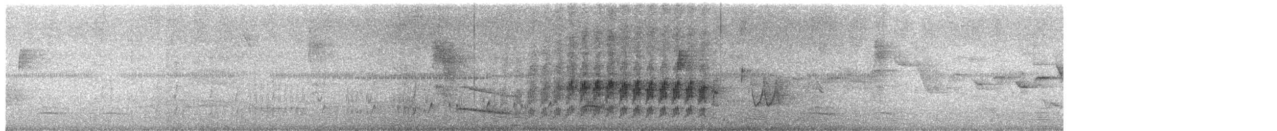 White-spotted Woodpecker - ML349751871