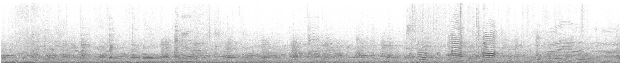 Ібіс молуцький - ML349773051