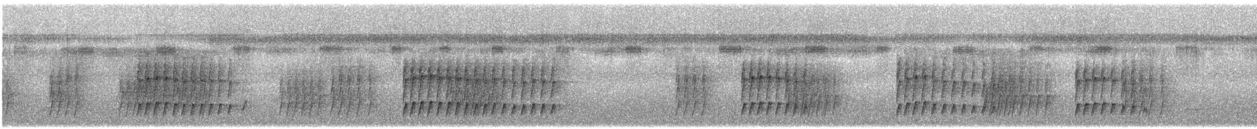 White-flanked Antwren (White-flanked) - ML349774871