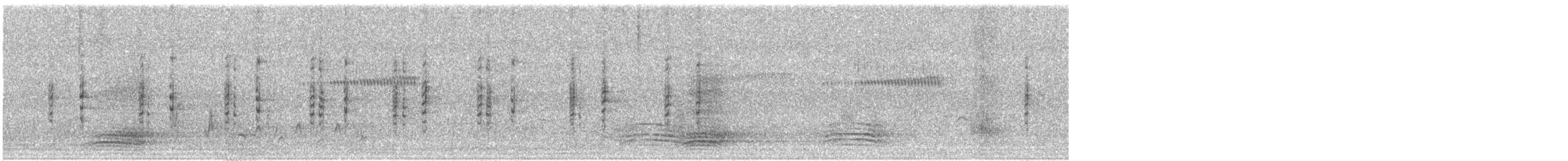 Australasian Grebe - ML349775331