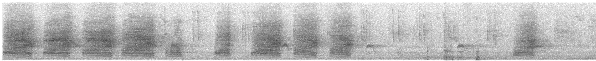 Steller Kargası [coronata grubu] - ML349776461