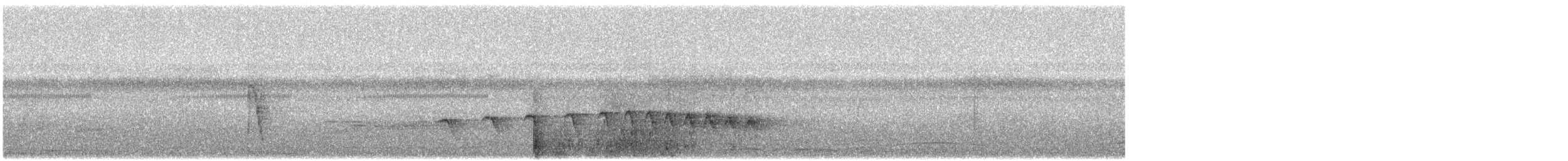 Black-chinned Antbird - ML349834281