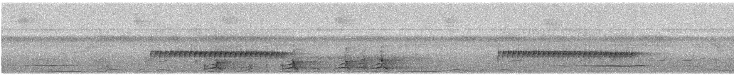 Black-chinned Antbird - ML349834311