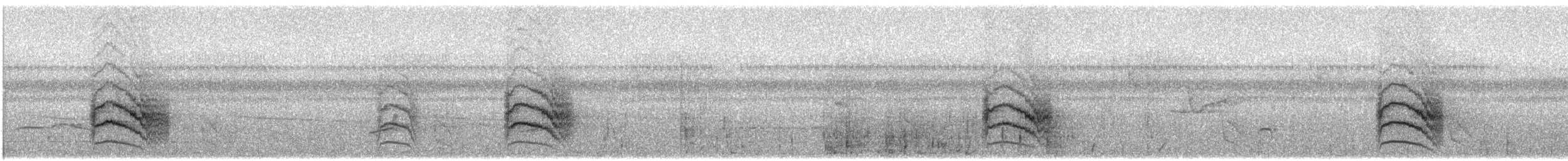 Guianan Streaked-Antwren - ML349834441