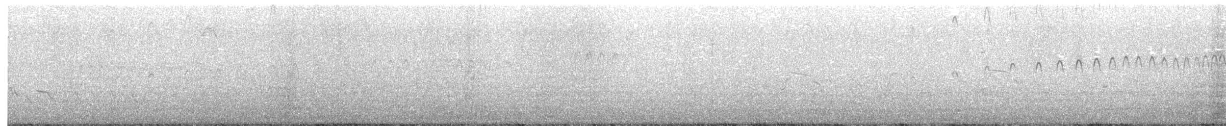 Чистун тихоокеанський - ML349836441