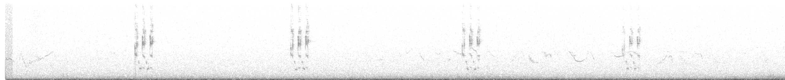 Great Gray Shrike (Arabian) - ML349836451