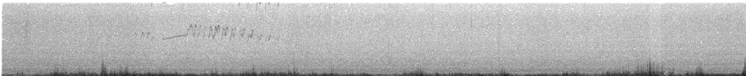 Чистун тихоокеанський - ML349836601