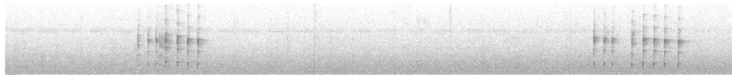 Todirostre noir et blanc - ML349866491