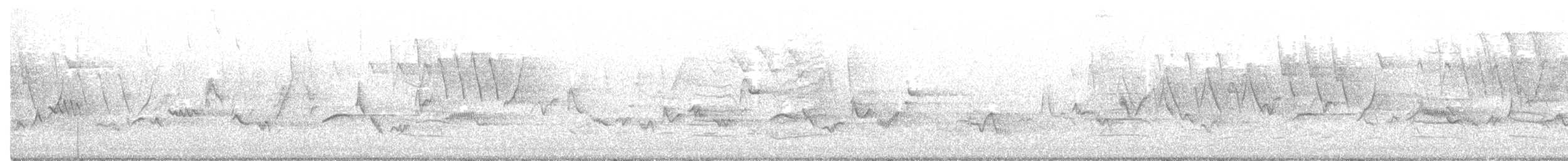 Eastern Warbling Vireo - ML349907301