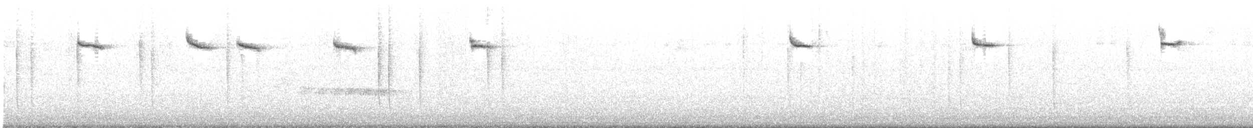 Алленов колибри - ML349914881