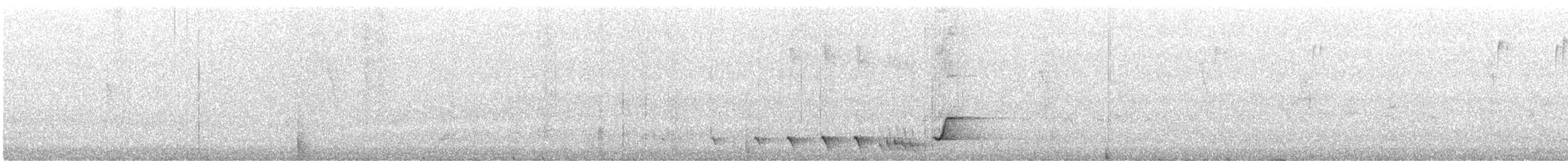 Gray Shrikethrush - ML349921471