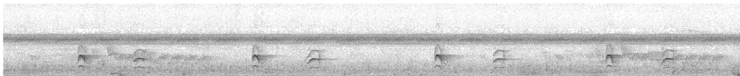 Гвианская иглохвостка - ML349962631