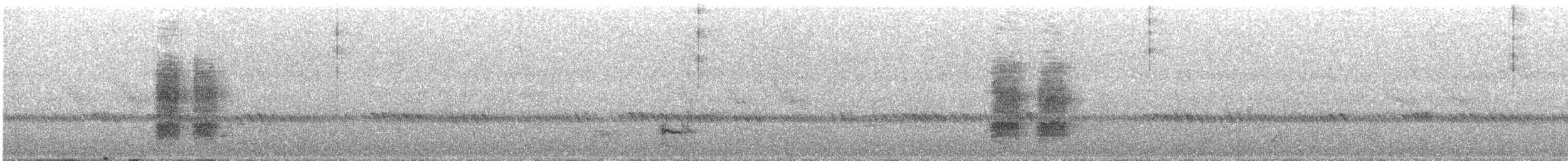 White-eared Barbet - ML349974771