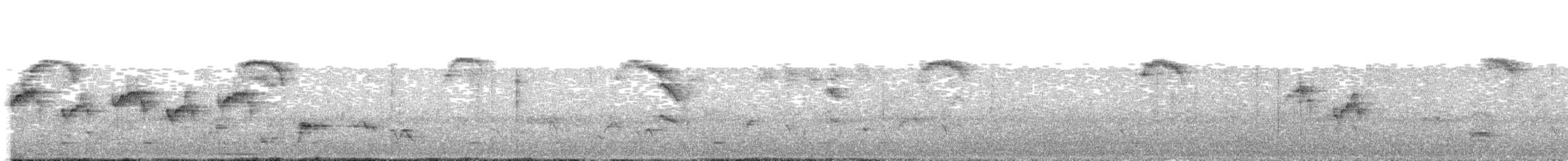 Crombec Piquilargo - ML349976761