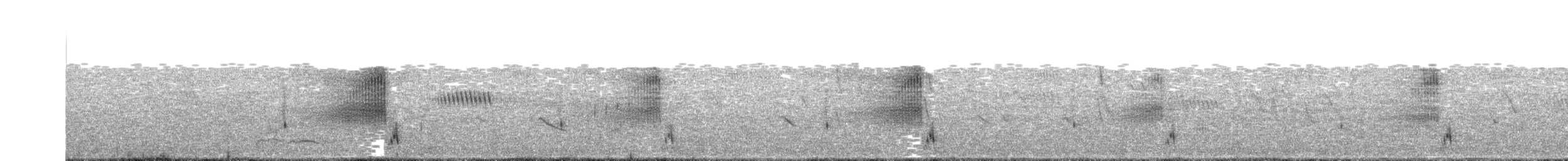 Cistícola de Natal - ML349977431