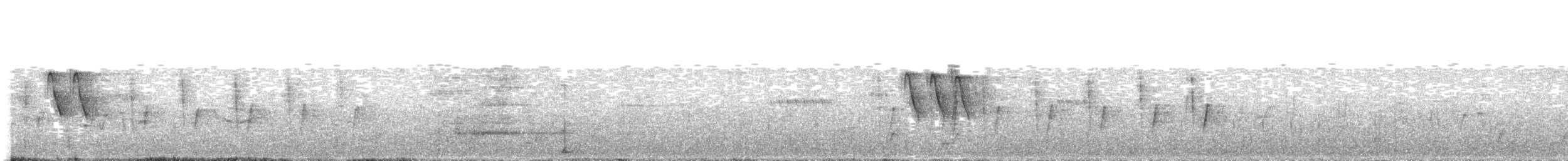 Lavandera Africana - ML349978161