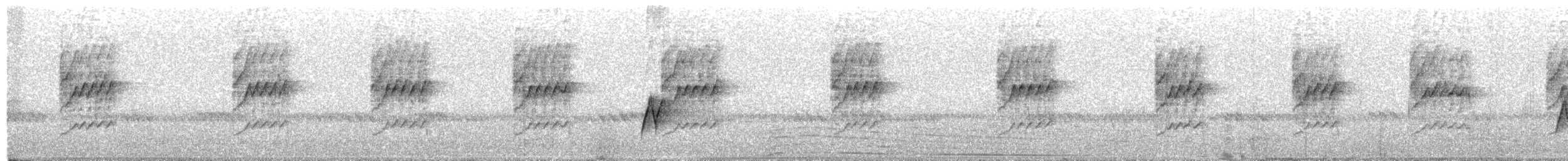 Suimanga Acollarado - ML349981081