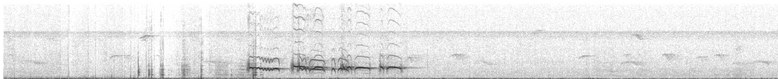 Лінивка-смугохвіст плямистобока - ML349982331