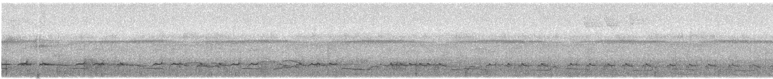 brunbeltedovenfugl - ML349989111