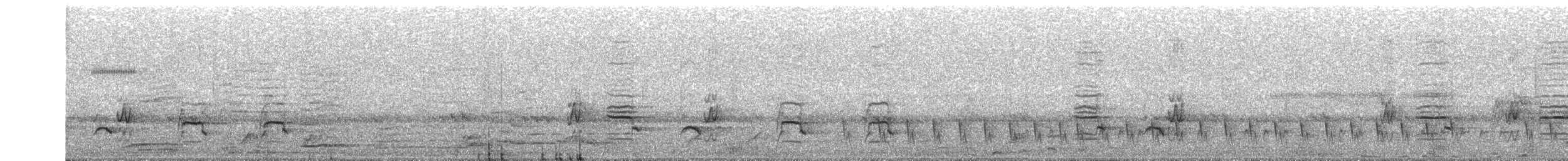 Drongo Ahorquillado - ML349989261