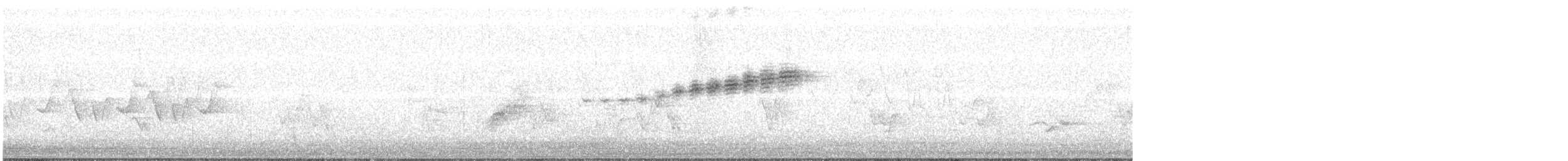 Prairie Warbler - ML349989691