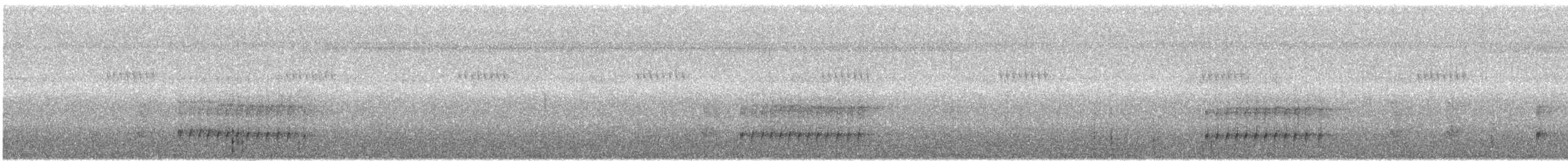 Weißaugen-Todityrann - ML349994361