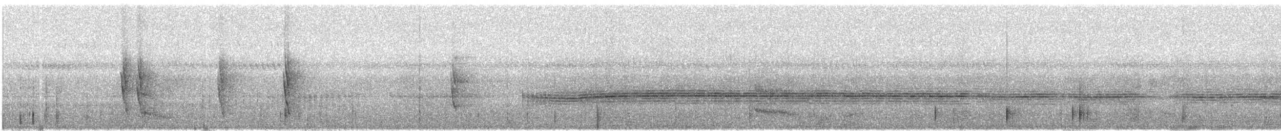 Weißgesicht-Ameisenvogel - ML349995091