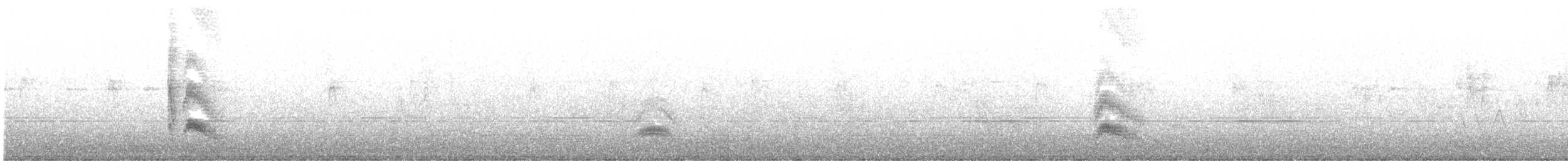 Серогрудый тиранн - ML350006831