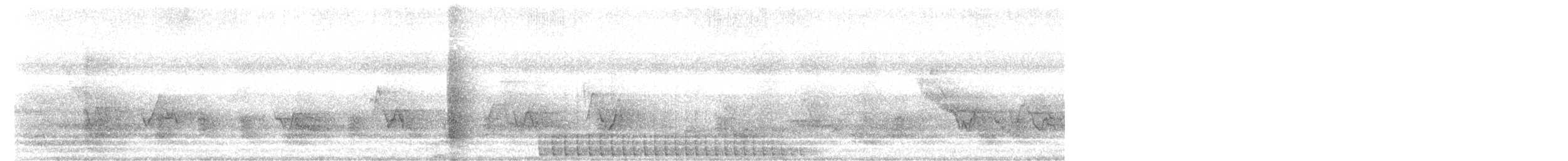 hvitbrynsvartspett - ML350010081