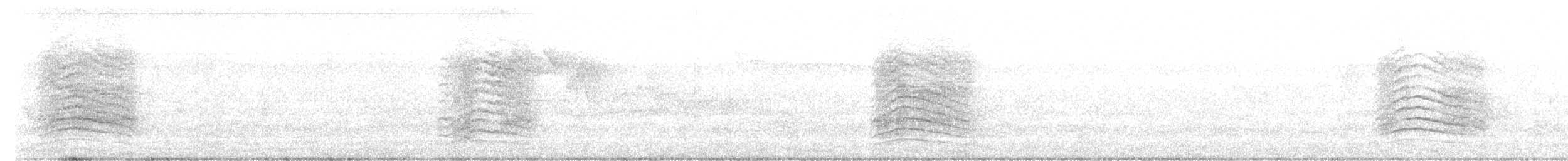drozdec černohlavý - ML350010241