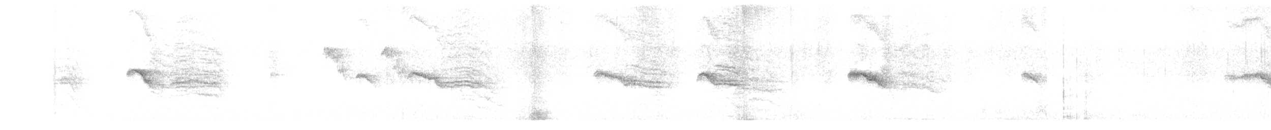 Воротничковый рябчик - ML350015571