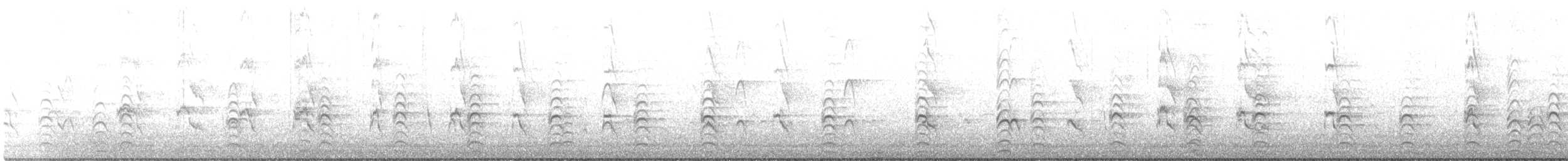 Weißgesicht-Stelzenläufer - ML350069351