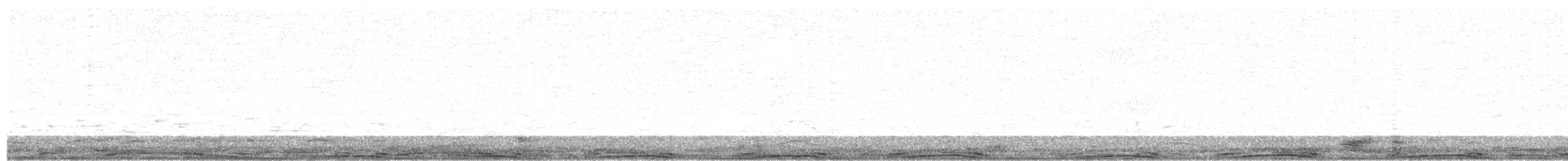 カワラバト（ドバト、家畜型） - ML350072901