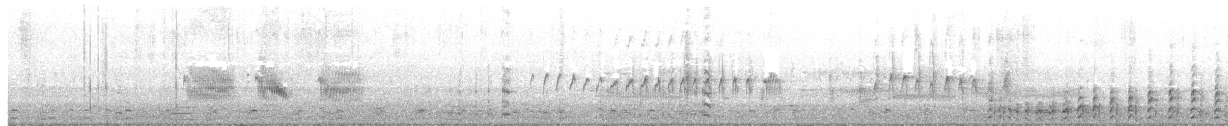 Common Gallinule - ML350081611