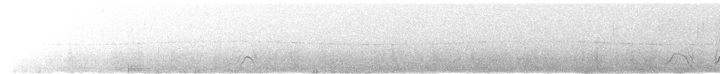 Great Shrike-Tyrant - ML350082901