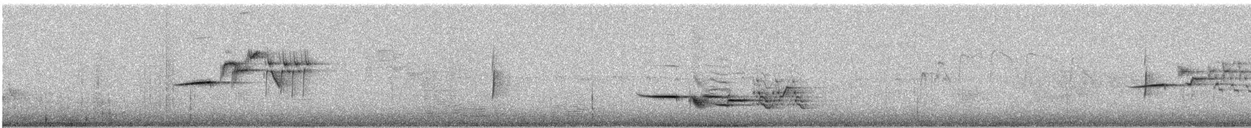 Дрізд-короткодзьоб плямистоволий - ML350094461