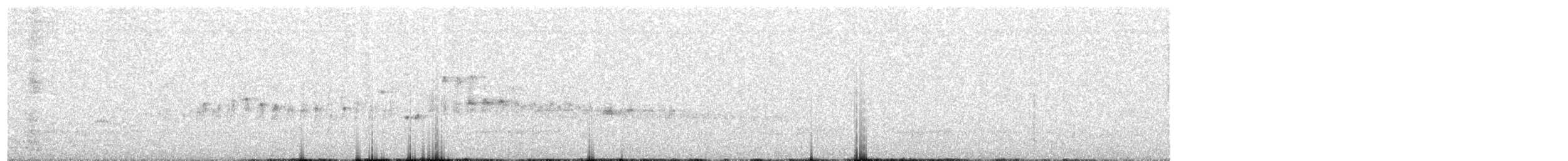 White-throated Swift - ML350102801