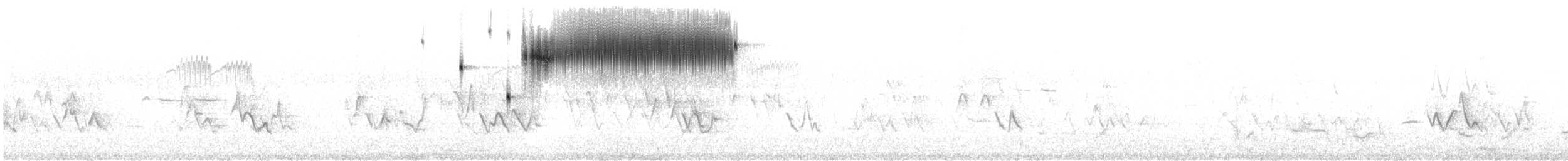 Кузнечиковая овсянка-барсучок - ML350102901