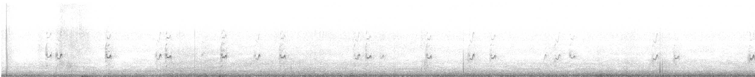 Peruvian Tern - ML350107391