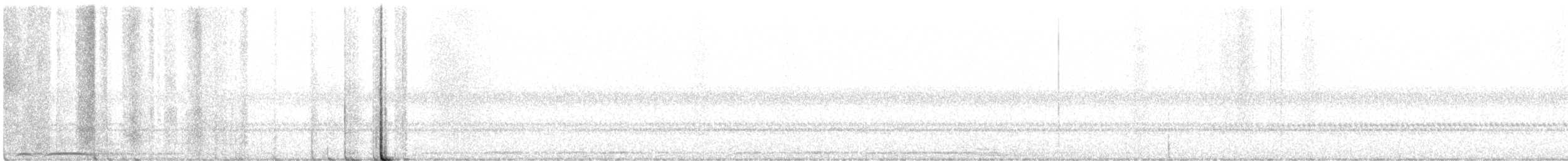 Chouette rayée - ML350109491